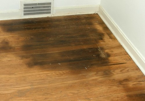 How to Clean Pet Accidents on Hardwood Floors